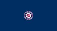 Washington Nationals MLB Team Logo Billiard Cloth