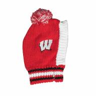 Wisconsin Badgers Knit Dog Hat